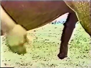 Retro japan beastiality sex with horse
